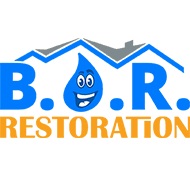 Best Option Restoration (B.O.R.) of North Phoenix